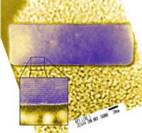 NIST developed a nanoruler