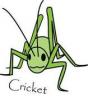 Measure the temperature by cricket chirps