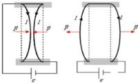 Amperes experiments on the interaction between magnetic fields