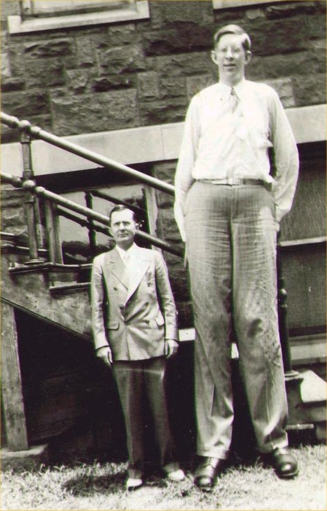 robert wadlow