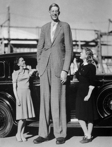 robert wadlow